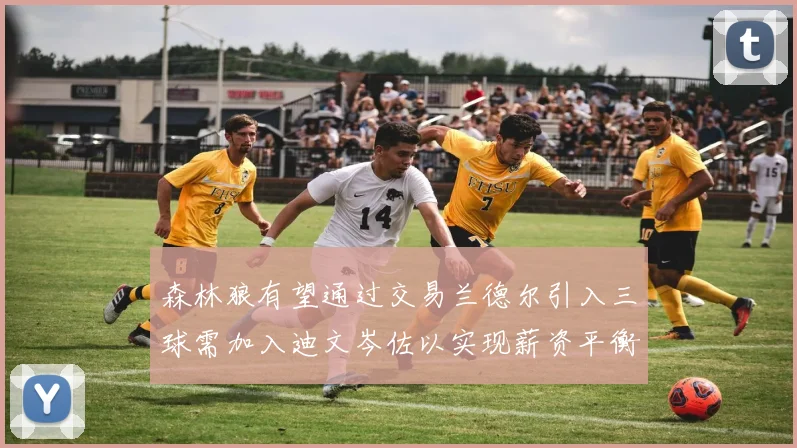 森林狼有望通过交易兰德尔引入三球需加入迪文岑佐以实现薪资平衡